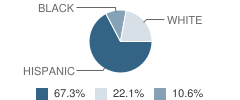Somerset Academy Charter Middle School (South Campus) Student Race Distribution