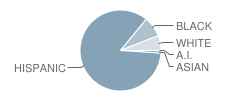 Somerset Academy (Silver Palms) Student Race Distribution