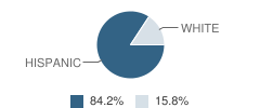 Somerset Academy High School (South Campus) Student Race Distribution