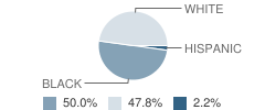 The Dove (Developing Opportunities Thru Vocational Education) School Student Race Distribution