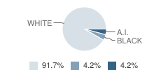 Walton Initiative for Success in Education (Wise) School Student Race Distribution