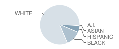 Leroy Massey Elementary School Student Race Distribution