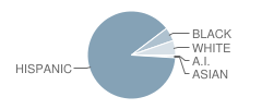 New Elementary School Student Race Distribution