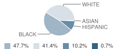Claxton High School Student Race Distribution