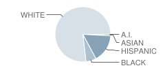 Coosa Middle School Student Race Distribution