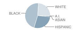 Gwinnett Intervention Education (Give) Center School Student Race Distribution