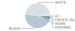 Davidson Magnet School Student Race Distribution