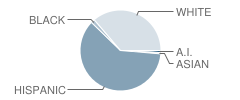 Eastbrook Middle School Student Race Distribution