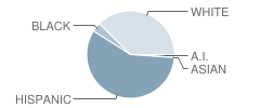 Dawnville Elementary School Student Race Distribution