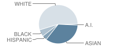 Hawaii Technology Academy - Pcs Student Race Distribution
