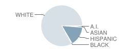 Estherville Lincoln Central High School Student Race Distribution