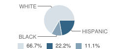 Madison Academy (Alternative) Student Race Distribution