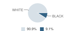 Meridian Night School (Alternative) Student Race Distribution