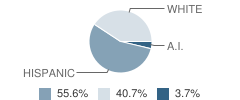American Falls (Alternative) Academy Student Race Distribution