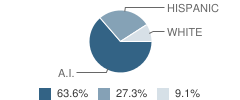 Mountain View Middle School (Alternative) Student Race Distribution