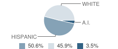 Cassia Education Center (Alternative) School Student Race Distribution