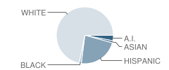 Lincoln High School (Alternative) Student Race Distribution