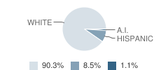 Grace High School (Junior / Senior) Student Race Distribution