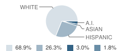 Hansen High School (Junior / Senior) Student Race Distribution