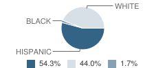 Mini-Cassia Opportunity Center (Alternative) School Student Race Distribution