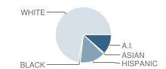 New Horizons High School (Alternative) Student Race Distribution