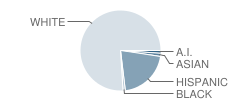 Snake River High School Student Race Distribution