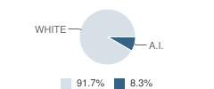 St Maries Community Education (Alternative) School Student Race Distribution