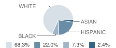 Twin Falls Bridge Academy (Alternative) Student Race Distribution