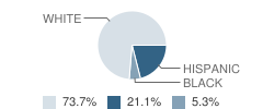 Hamer Elementary School Student Race Distribution