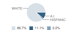 Northwest Childrens Home (Alternative) High School Student Race Distribution