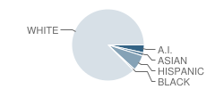 Central Academy (Alternative) Student Race Distribution