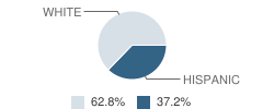 Vallivue Academy (Alternative) Student Race Distribution