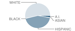 Bridgewater Elementary School Student Race Distribution