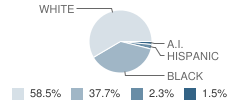 Belleville Township (Twp) High School-Night / Alternate School Student Race Distribution