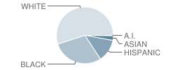 H L Richards High School(Campus) Student Race Distribution