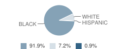 Cairo High School (Junior / Senior) Student Race Distribution