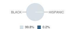 Bass Elementary School Student Race Distribution