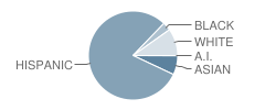 Bateman Elementary School Student Race Distribution
