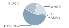 Burr Elementary School Student Race Distribution