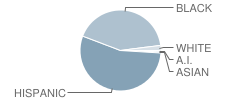 Carpenter Elementary School Student Race Distribution