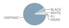 Chase Elementary School Student Race Distribution