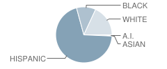 Clay Elementary School Student Race Distribution