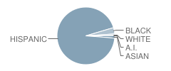 Juarez Community Academy High School Student Race Distribution