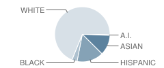 Edgebrook Elementary School Student Race Distribution