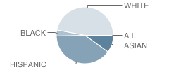 Farnsworth Elementary School Student Race Distribution