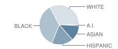 Franklin Elementary Fine Arts Center School Student Race Distribution