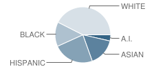 Hawthorne Elementary Scholastic Academy Student Race Distribution