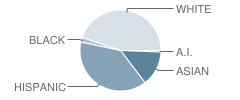 Hitch Elementary School Student Race Distribution