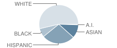 Wildwood Elementary School Student Race Distribution