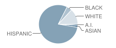 Inter-American Elementary Magnet School Student Race Distribution